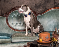 Foster Juliana-8041
