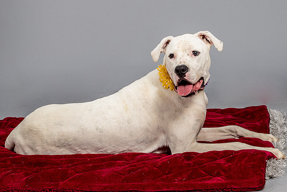 Foster Molly-3726