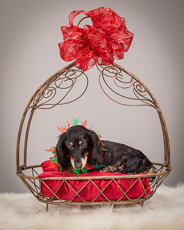 Foster Bernice-3731