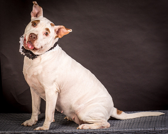 Foster Joanie-0425
