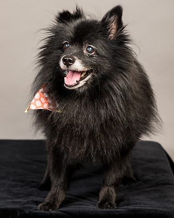 Foster Wayne-7753