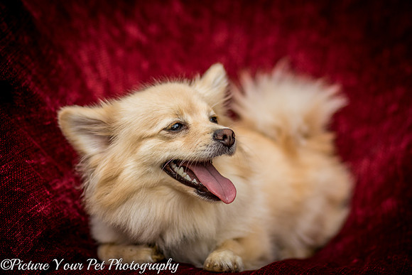 Foster Shirley-6098