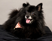 Foster Wayne-7748