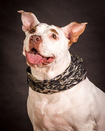 Foster Joanie-0442