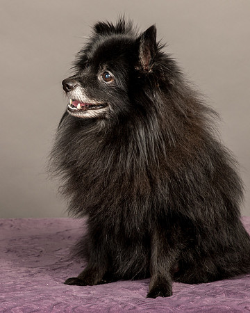 Foster Wayne-8341
