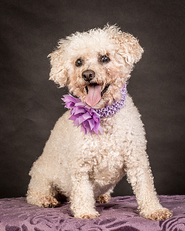 Foster Mae-9164