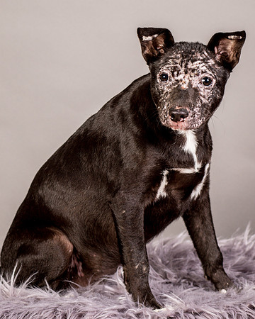 Foster Kendal-8753
