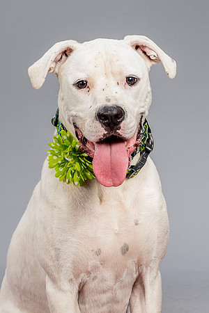 Foster Molly-3690