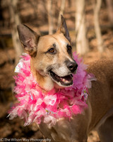 Foster Rita-2454