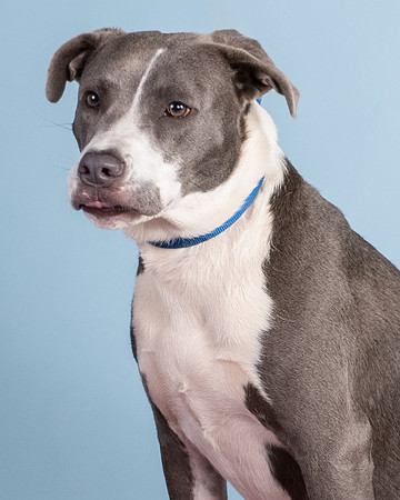 Foster Juliana-8107