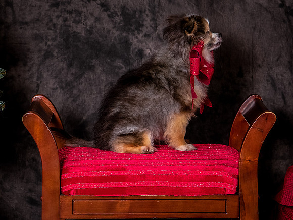 Foster Gabe-4431