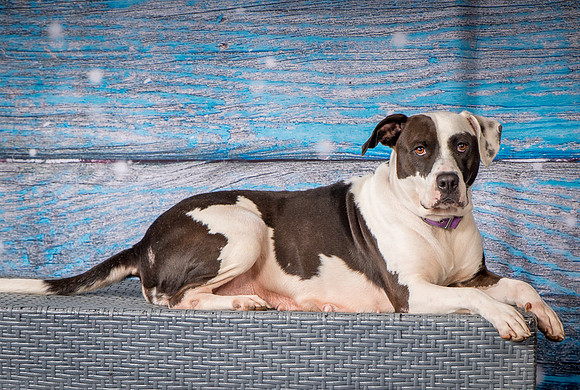 Foster Lucette-3232
