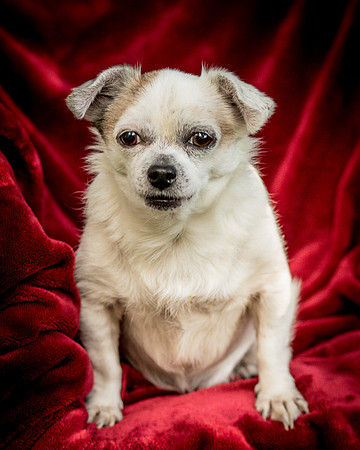Foster Petey-0063