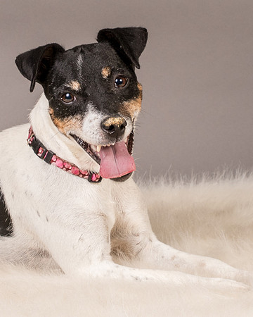 Foster Pollyanna-3892