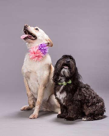 Maggie and Henry-7301