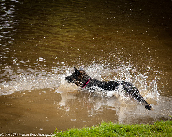 gretchen w frisbee-7501