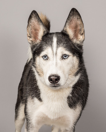 Bella-2476