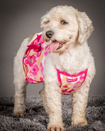 Foster Everly-2243