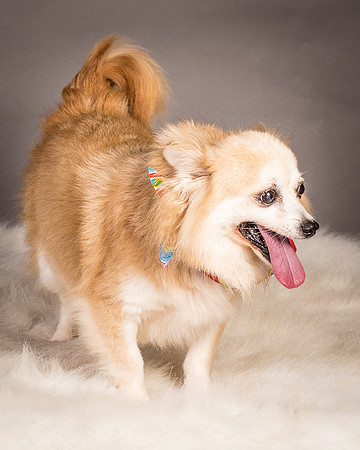 Foster Lilly-3364