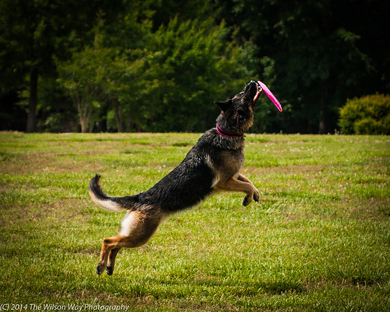 gretchen w frisbee-7572