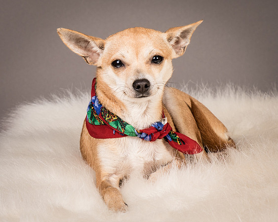 Foster Rosanna-3861