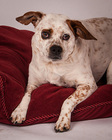 Foster-04-MW-2895