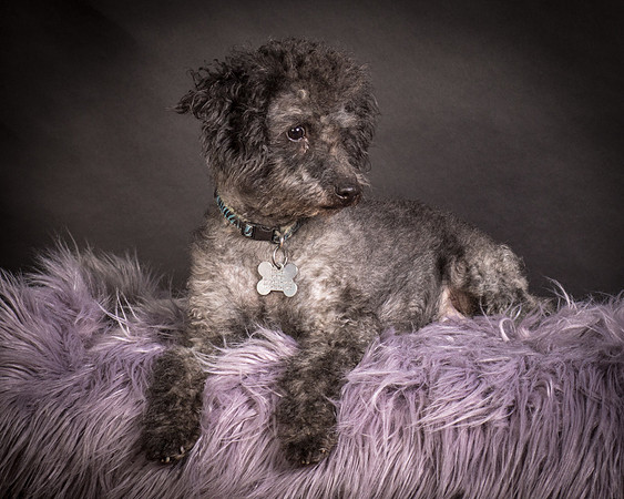 Foster Mokey-1328