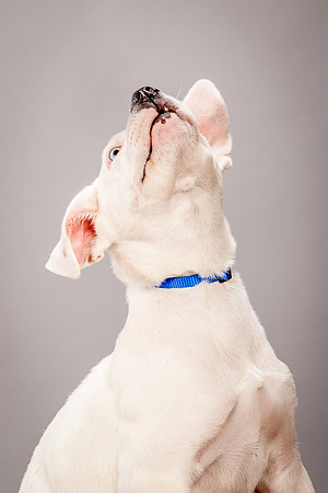 Foster Alvin-4761