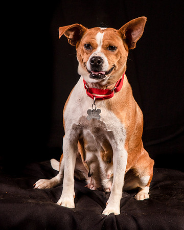 Foster Posey-1102