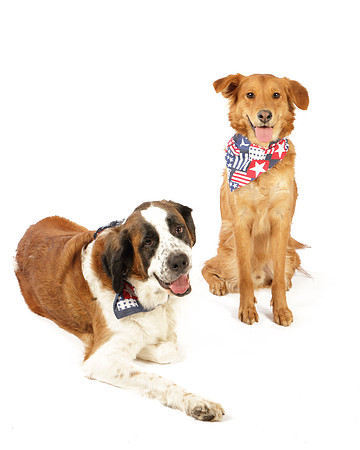 Ollie and Heidi-8291