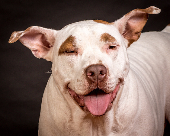 Foster Joanie-0610