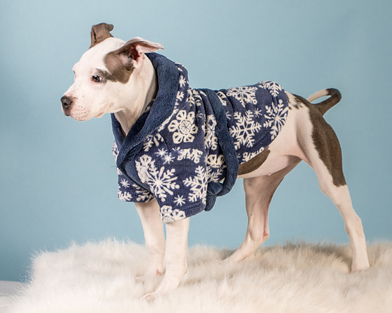 Foster Luna-4788