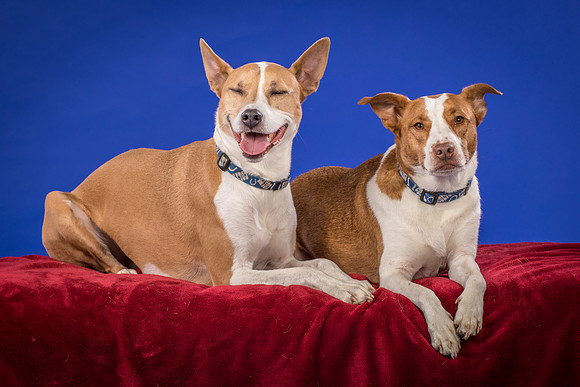 Urschel-Ethel and Ruby-9725