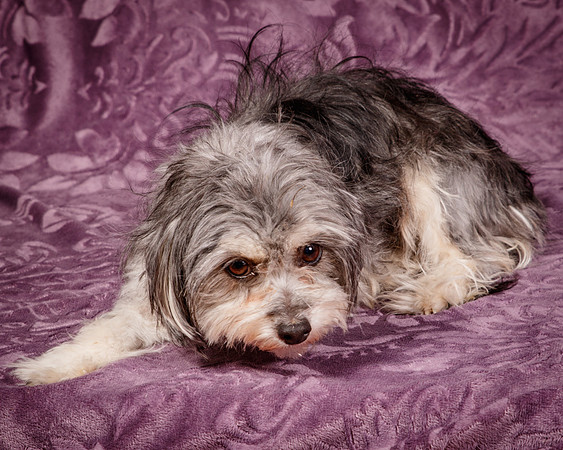 Foster Alex-6277
