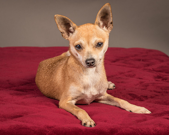 Foster Rosanna-3772