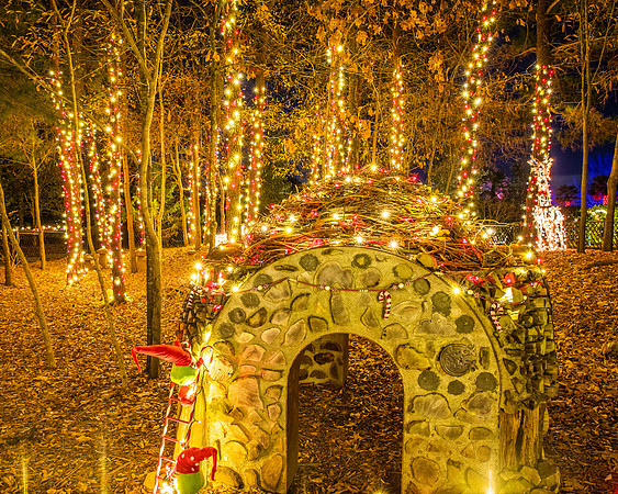 Christmas-2619