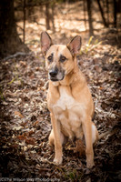 Foster Rita-2465