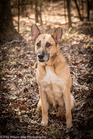 Foster Rita-2465