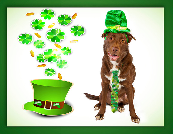 GCSPCA Calendar-March