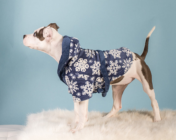 Foster Luna-4785