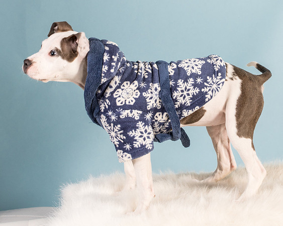 Foster Luna-4778