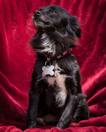 Foster Julio-8405