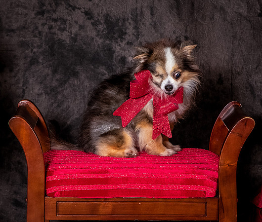Foster Gabe-4433