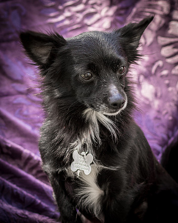 Foster Julio-6203