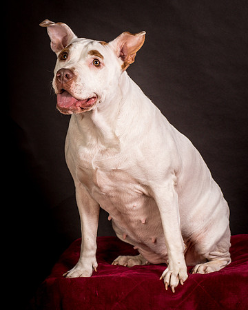 Foster Joanie-0498
