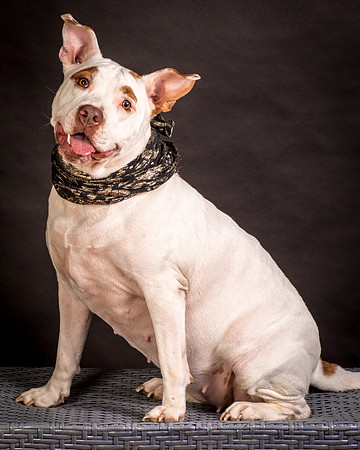 Foster Joanie-0448