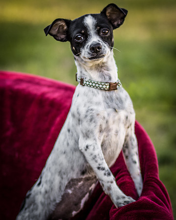 Foster Haylie-4031