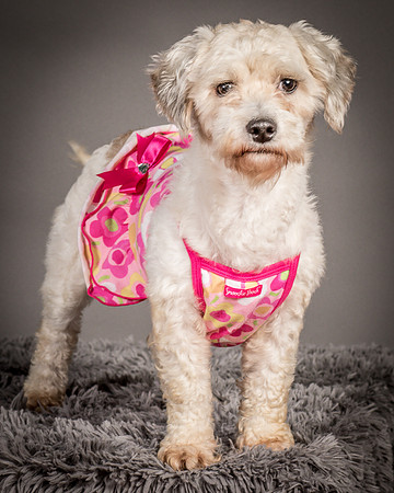 Foster Everly-2237