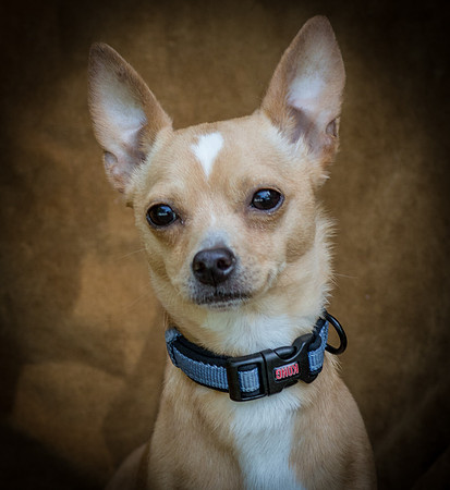 Foster Tony-8791