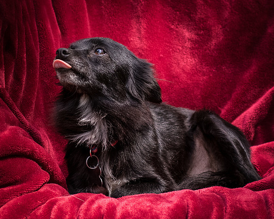 Foster Julio-8398